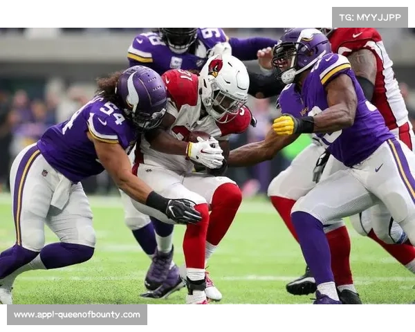 爱国者26-20客胜猛虎，弗拉科传球被抄截断送防守组努力